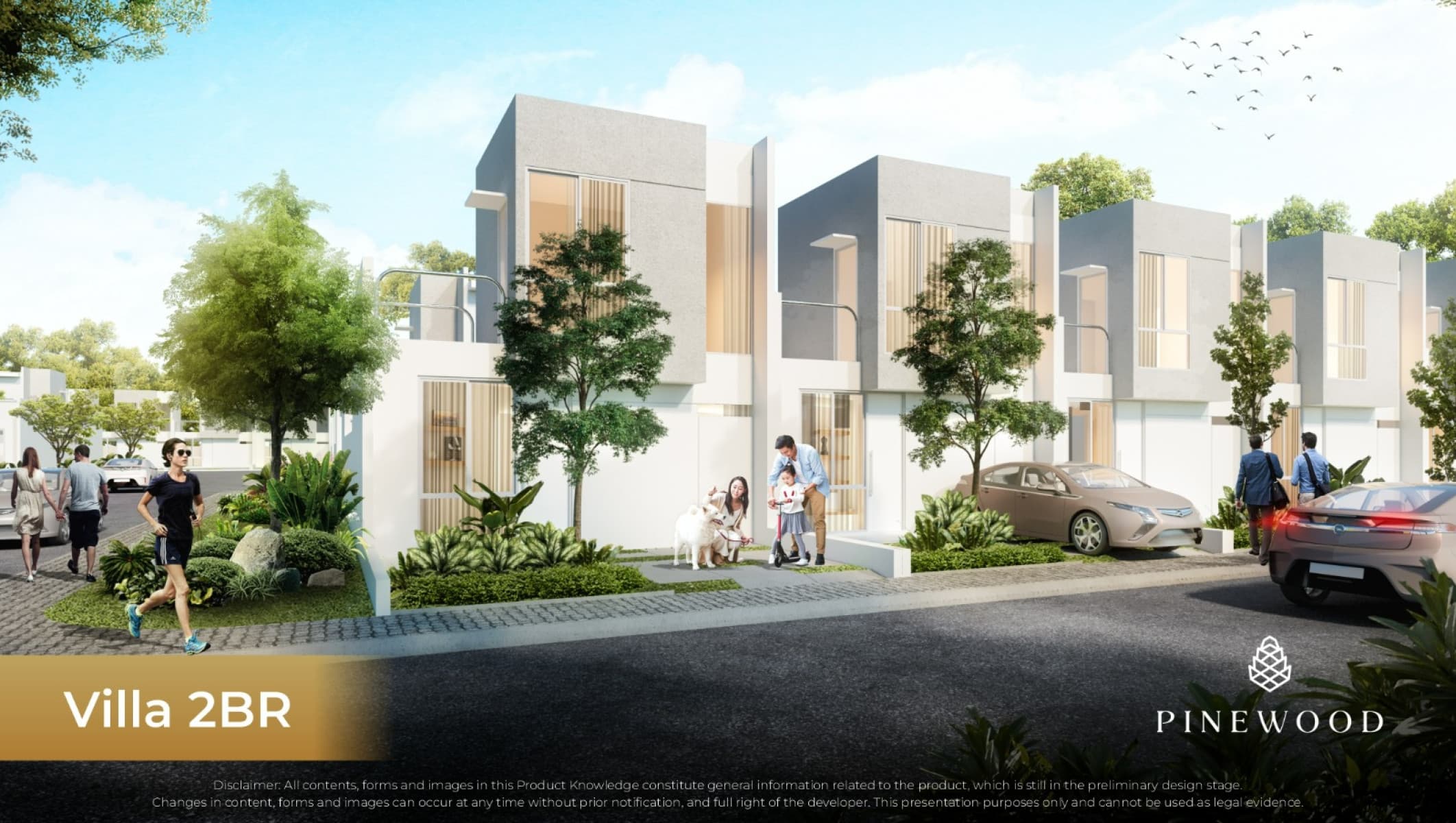 project image8